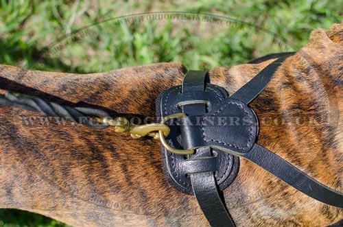 Dog Running Harness