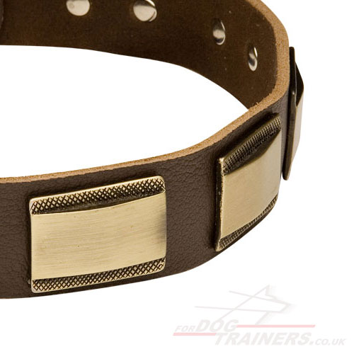 fashionable dog collar new design