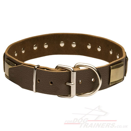 large dog collar