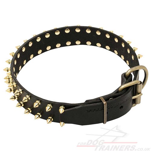 designer dog collar