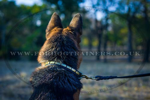 Handmade Dog Collar for German Shepherd