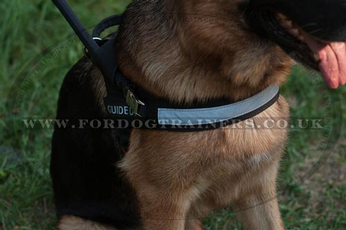 Guide Dog Harness for Sale