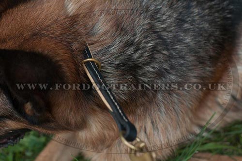 Choke Dog Collar for German Shepherd