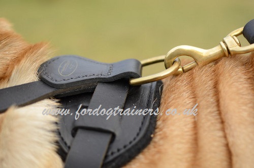 Shar Pei Harness UK