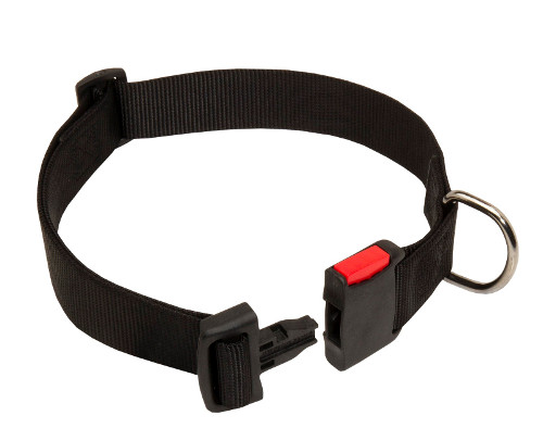 Nylon Dog Collars