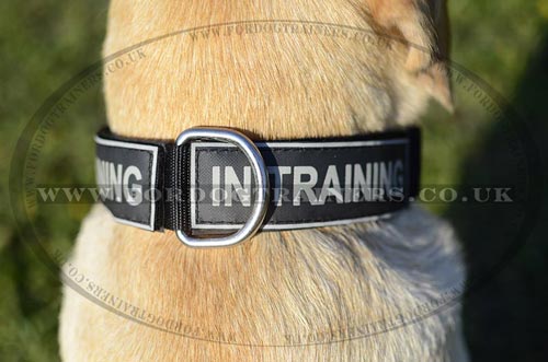 Dog training collar