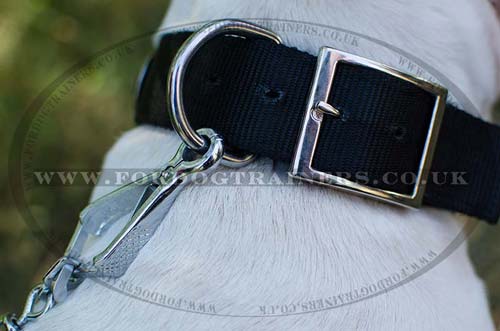 Nylon Dog Collar for Bull Terrier