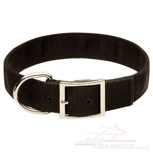 Large Nylon Dog Collar with Metal Buckle