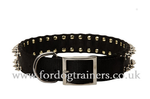 Adjustable Dog Collar with Buckle for Belgian Malinois