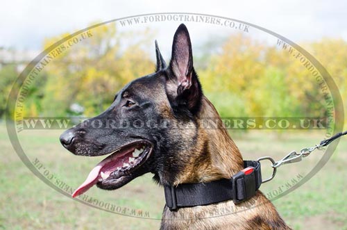 Nylon Dog Collars for Belgian Shepherd Malinois