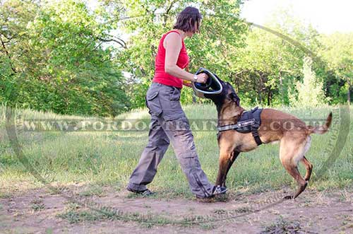 Reflective Dog Harness