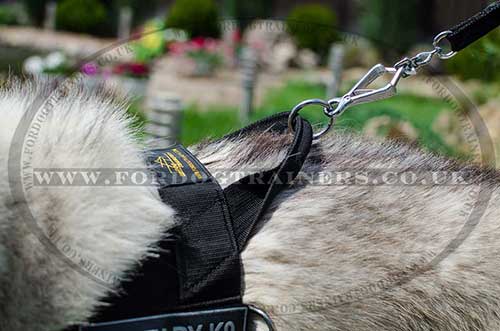 Husky Dog Harness