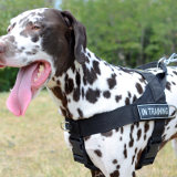 Universal Nylon Dog Harness