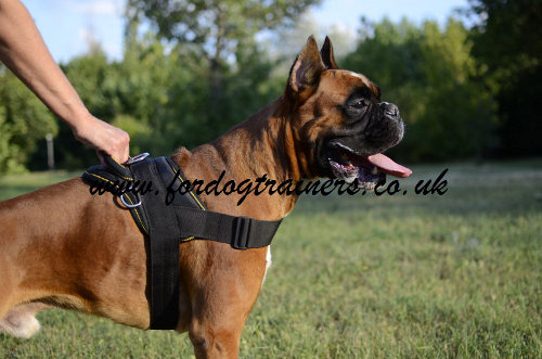 nylon dog harness for boxer