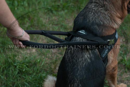 Service Dog Assistance Harness