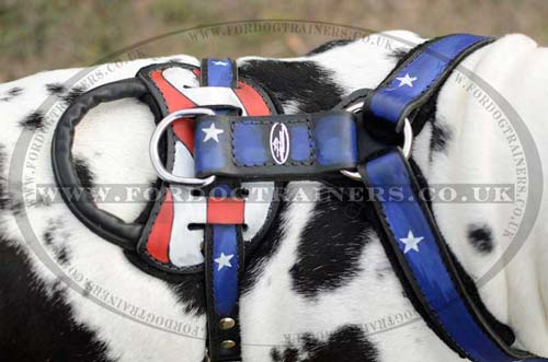 Padded Dog Harness