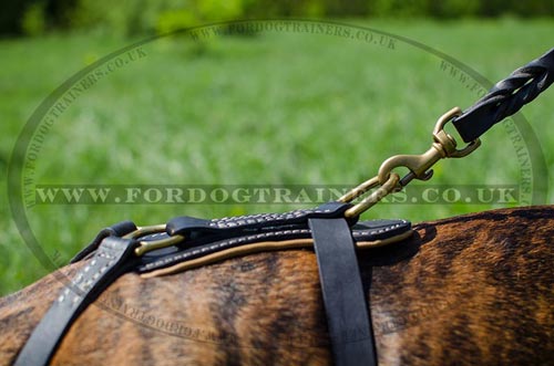 Leather Dog Harness for Boxer