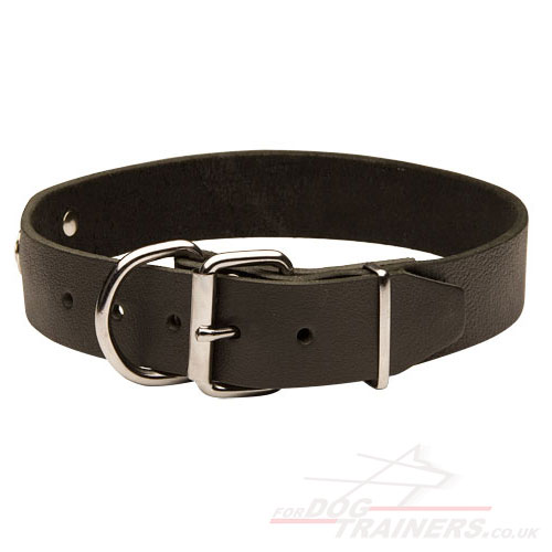 dog collar with id plate