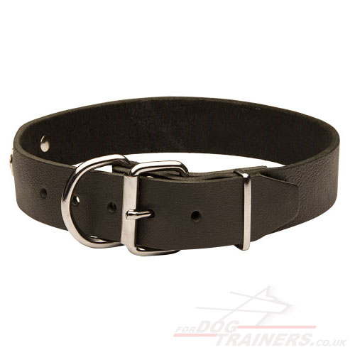 Handmade Personalized Leather Dog Collar