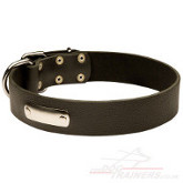 personalized dog collar with ID