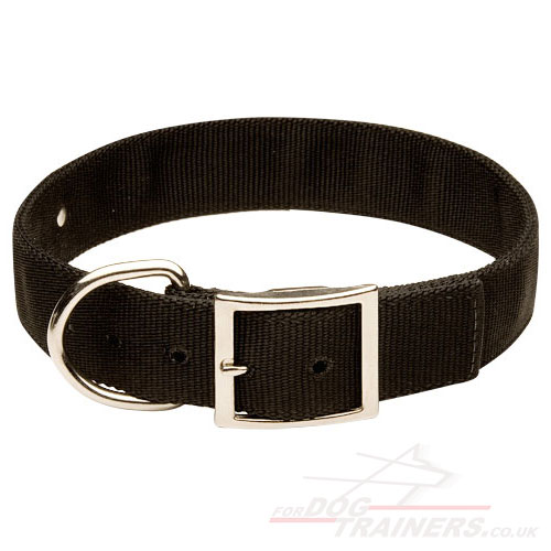 Strong Dog Collar with Name Plate