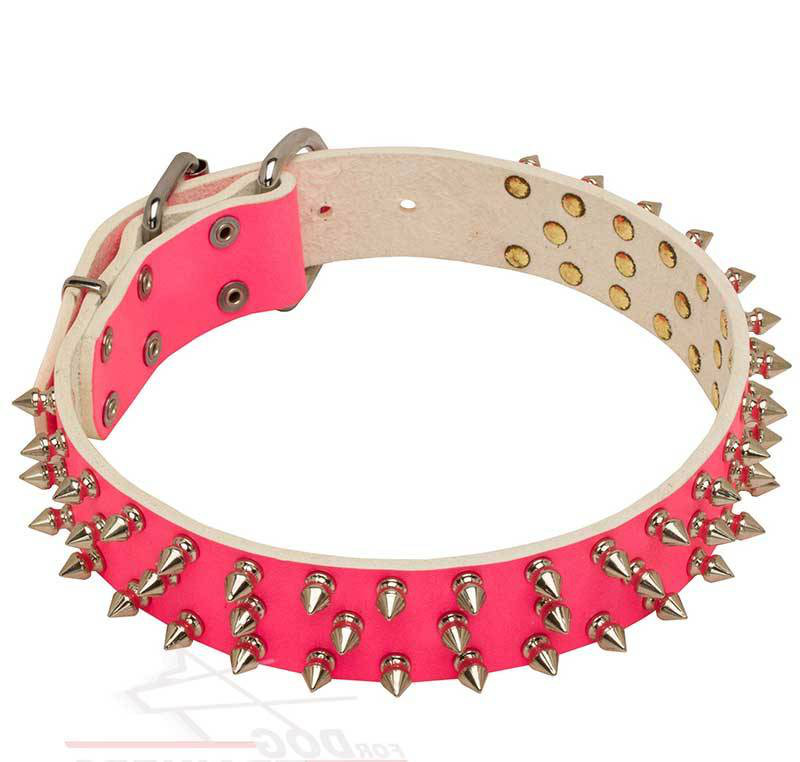 Pink Leather Dog Collar for Large Dogs Style NEW LIMITED EDITION