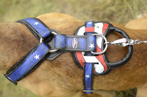 Leather dog harness for large dogs