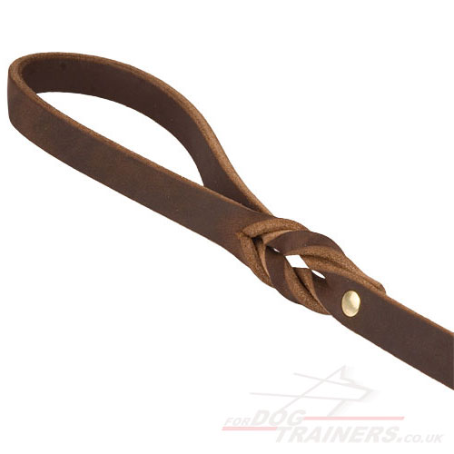 6 Foot Leather Dog Leash