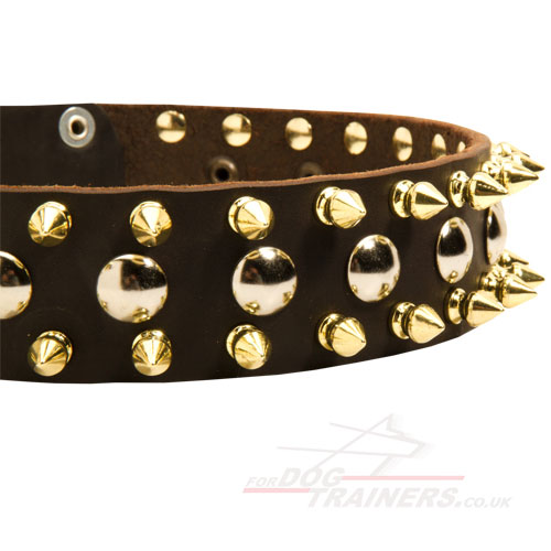 Luxury Dog Collar for Malinois