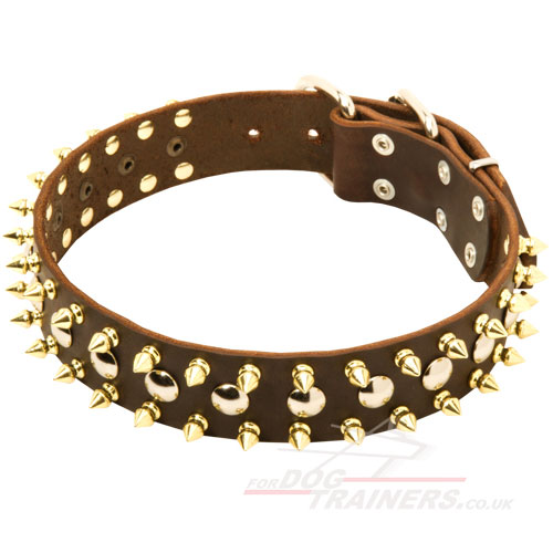 Luxury Dog Collar for Malinois