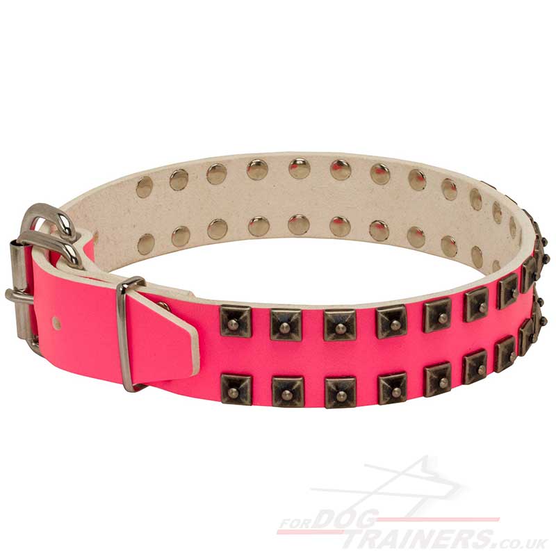 pretty collars pretty collars with studs pink collar studded design pretty collars pretty collars with studs pink collar studded design