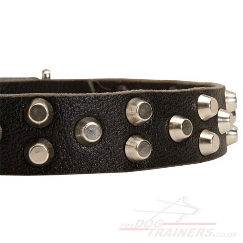 Studded Dog Collar