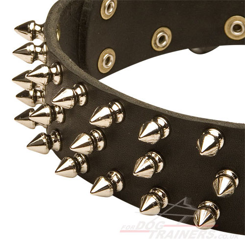Leather Dogs Collars for Belgian Malinois