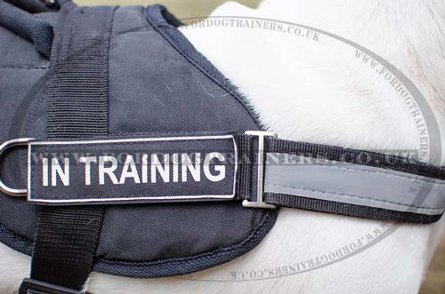 Reflective Dog Harness for English Bull Terrier