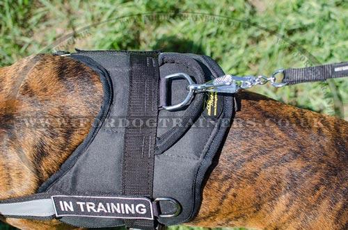 Dog Harnesses for Large Dogs