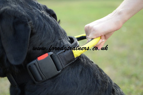 Rottweiler collars with handle