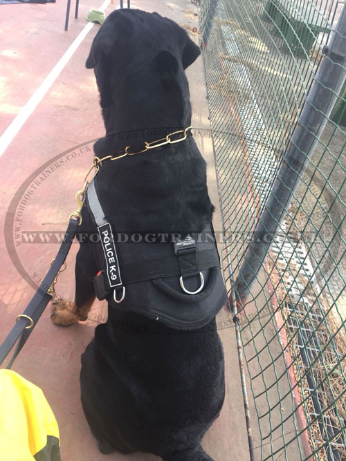 Rottweiler Dog Harness for Service Dogs