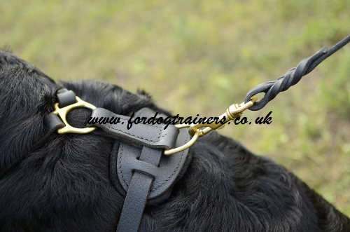 Rottweiler Harness