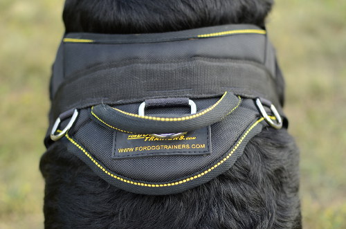 Nylon dog harness