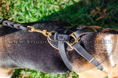 Small dog harness for Beagle