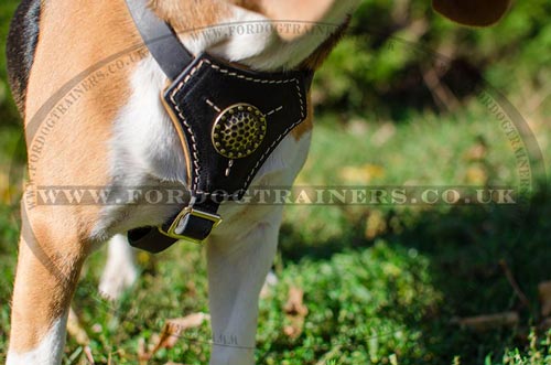 Small dog harness for Beagle