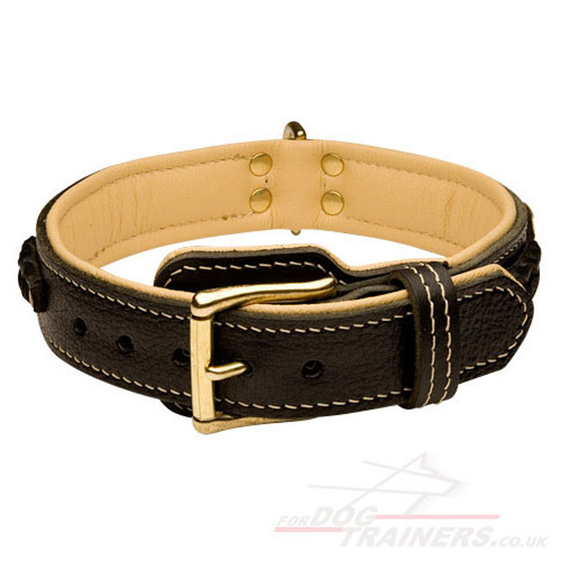 Handmade Dog Collar Royal Design | Padded Leather Dog ...