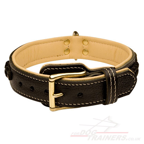 Handmade Royal Nappa Padded Leather Dog Collar