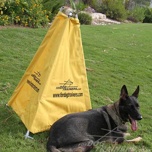 Schutzhund dog training