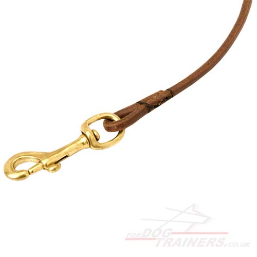 dog show leads