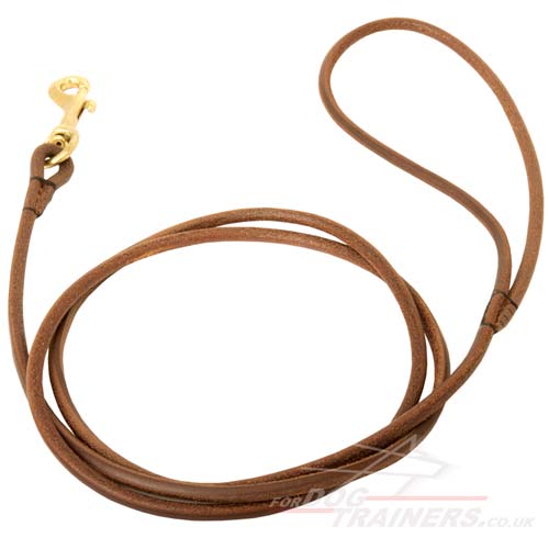 leather dog show leads