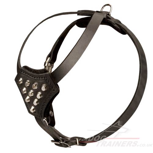 small dog harness for beagle