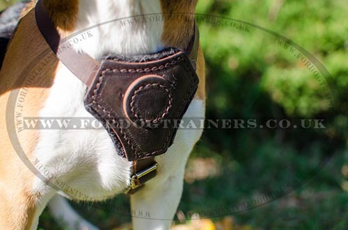 Small dog harness for Beagle