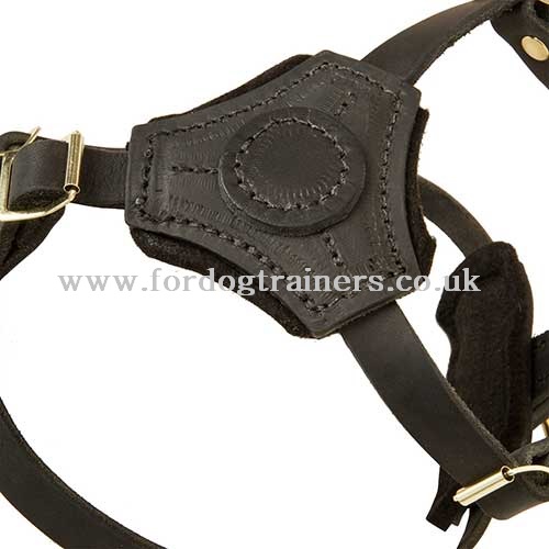 Small Dog Harness Soft