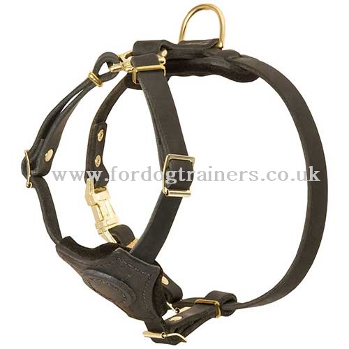 Small dog harness leather